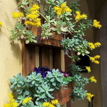 Bed & Breakfast San Rocco 2*