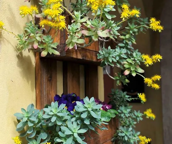 Bed and breakfast San Rocco 3*